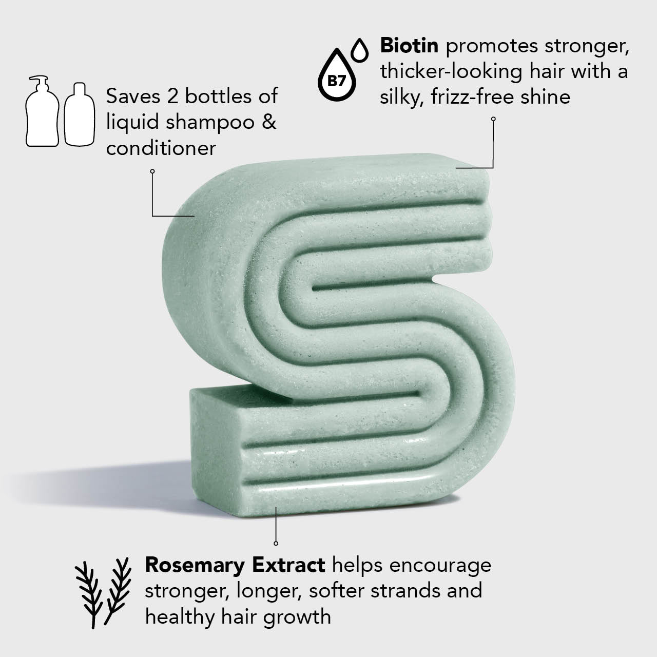 Rosemary & Biotin Volumizing Shampoo & Conditioner Combo